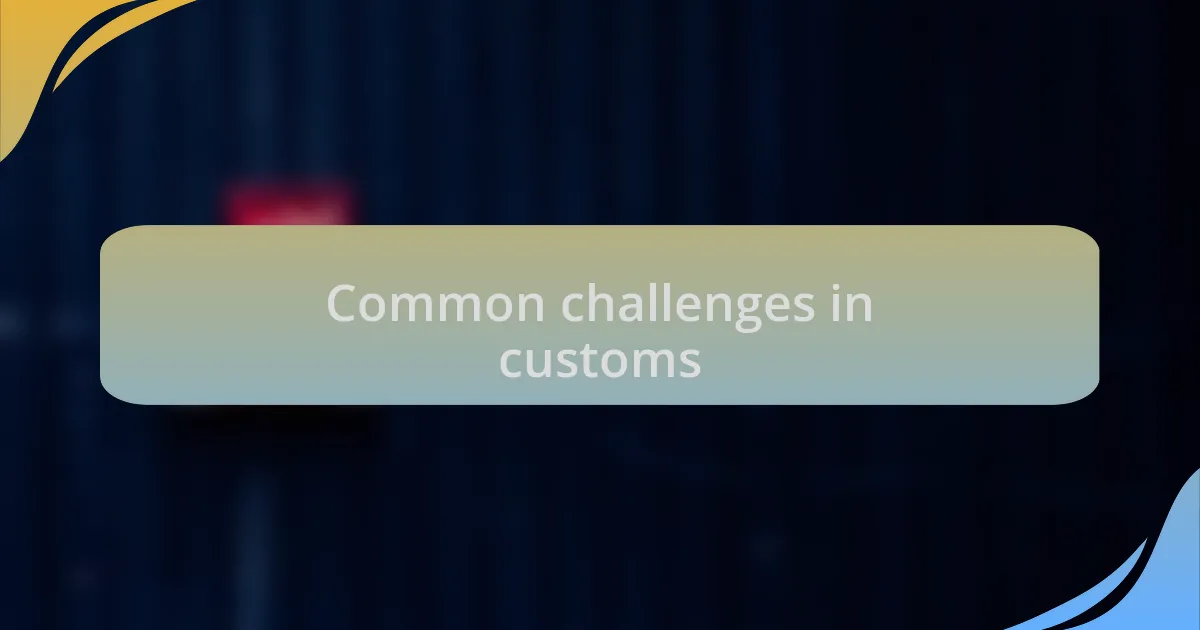 Common challenges in customs